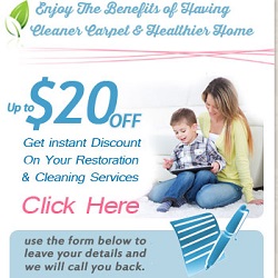 http://dickinsoncarpetcleaning.com/carpet-cleaners/special-offer-details.jpg