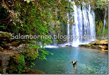 DSC_2239_Fotor