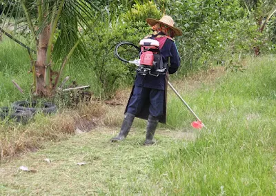 jasa potong rumput murah