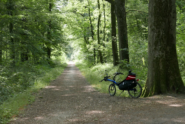 Pistes cyclables de la forêt de Rambouillet