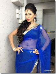 Bangladeshi model Actress ALISHA  PRADHAN Saree (11)