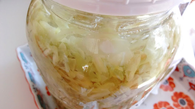 a close up of Homemade Sauerkraut in a jar right in the middle of the fermenting process