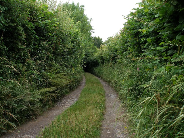 19th_july_08
