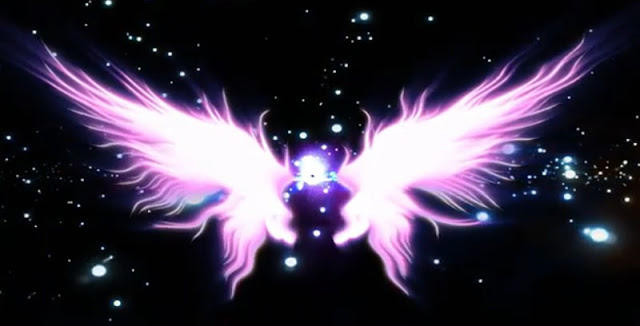 angel wings black background