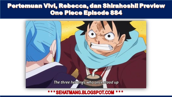 Pertemuan Vivi, Rebecca, dan Shirahoshi! Preview One Piece Episode 884