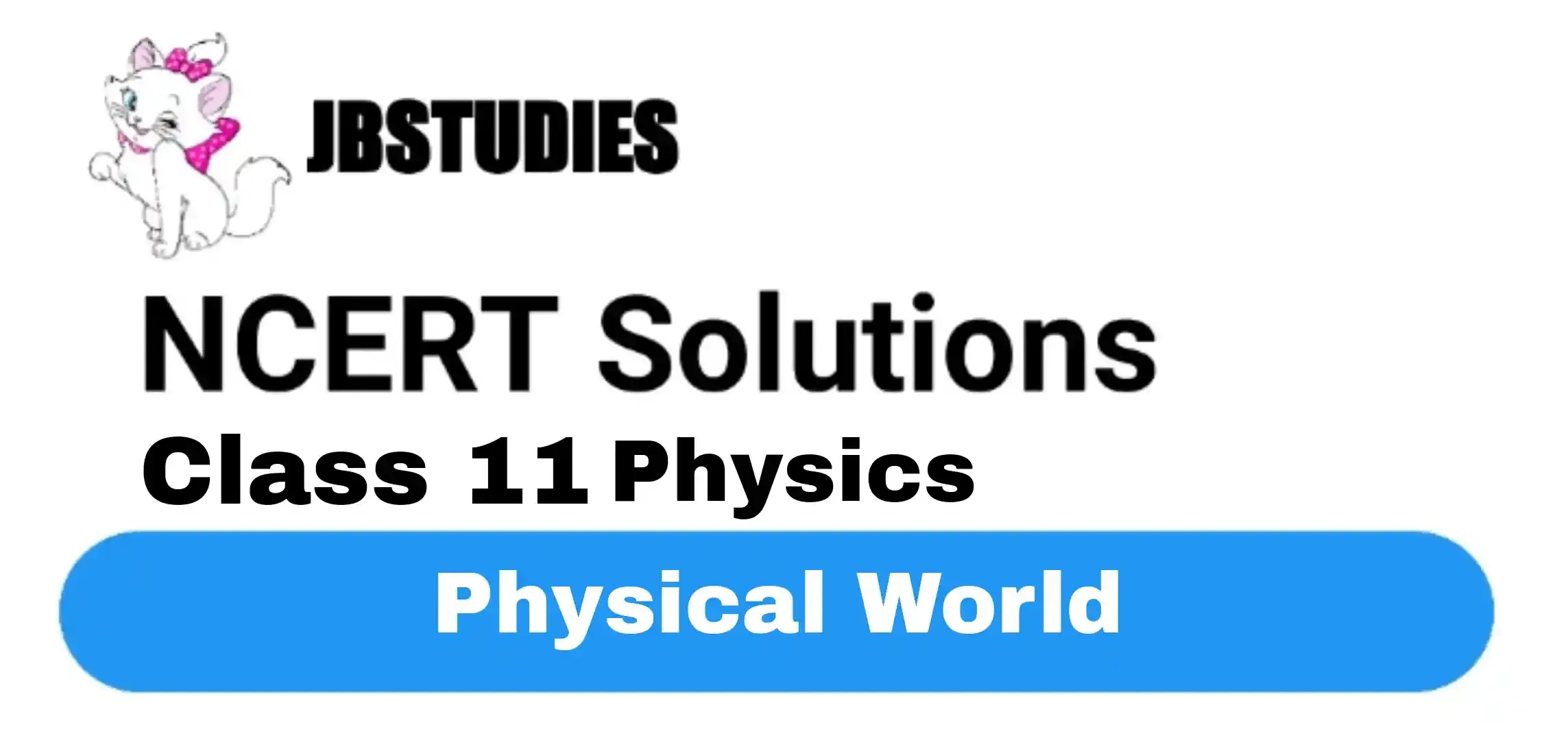 Solutions Class 11 Physics Chapter -1 (Physical World)
