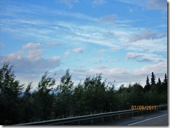 IMG_9931