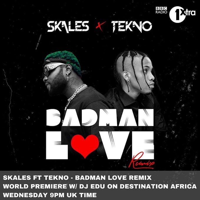 Download Audio : Skales Ft Tekno - Badman Love Remix Mp3