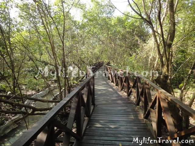 Felda Hot Spring 21