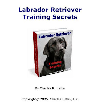 Labrador Retriever Training Secrets