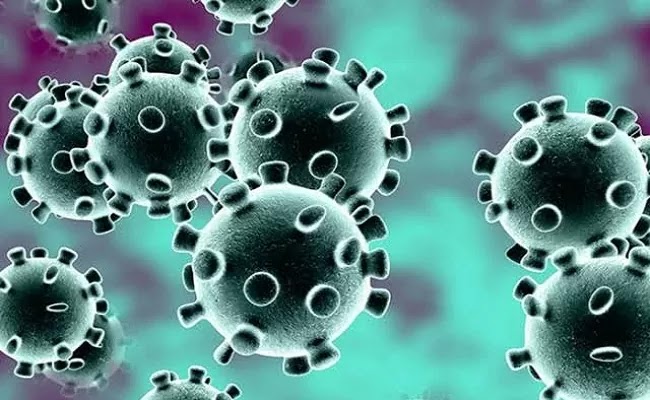Ini 5 Pertanyaan Penting Sekaligus Menarik Seputar Wabah Virus Corona