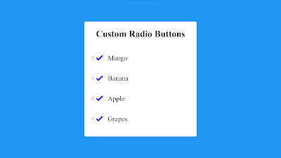 custom animated radio buttons look like checkbox made using HTML and CSS.