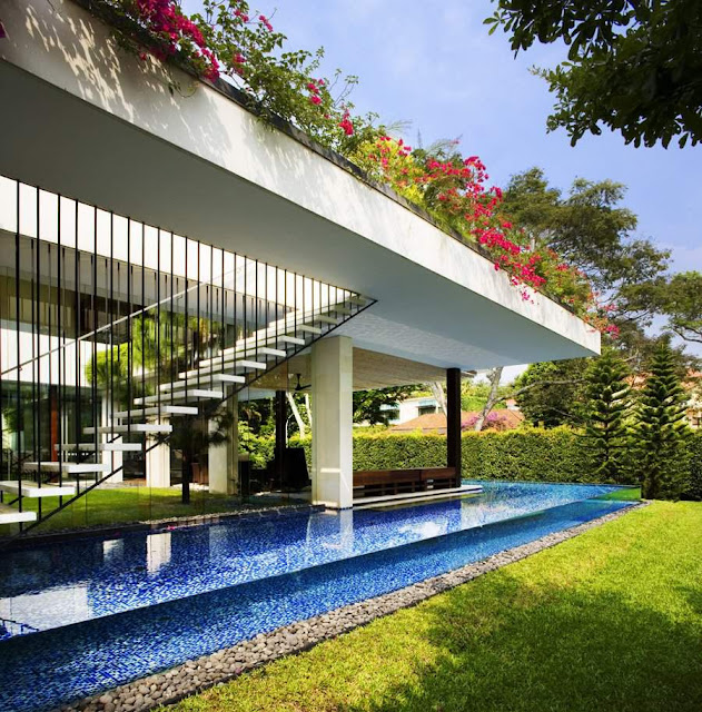 Contemporary Tropical Pool