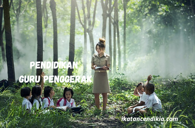 Pendidikan, Guru Penggerak,