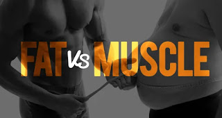 Muscle Weight Vs  Fat Weight