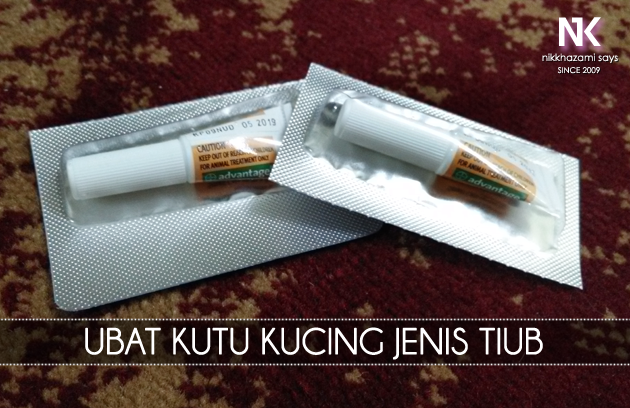 Ubat Kutu Paling Berkesan Untuk Kucing - Omong s