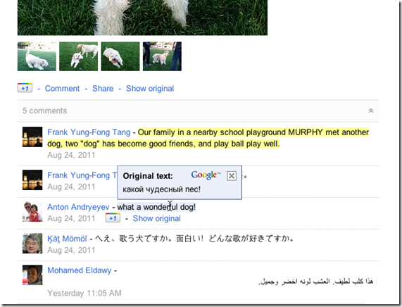 google-translate