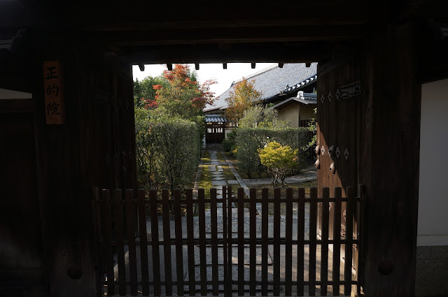 View of mossy paths and manicured bushes of Honen-in from outside of the temple