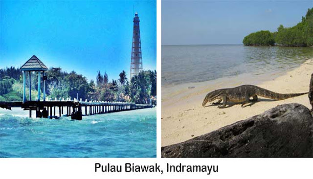 Pulau Biawak Di Indramayu  