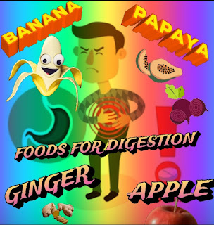 Digestion