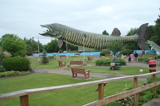 DSC07901