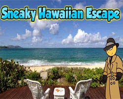 Juegos de Escape Sneaky Hawaiian Escape