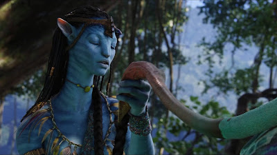 Download Avatar 2009 Extended Collectors Edition BluRay Dual Audio