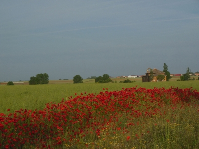 Camino, Jola Stępień,