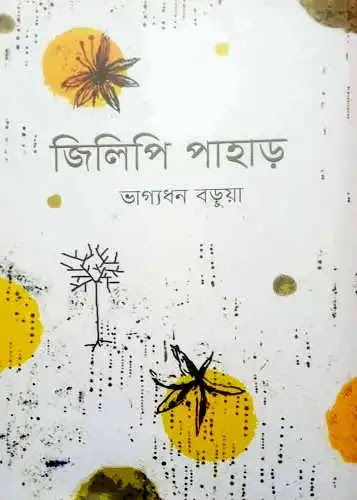 ভাগ্যধন বড়ুয়া'র শব্দে শব্দে আঁকা "জিলিপি পাহাড়"- রুদ্র সাহাদাৎ