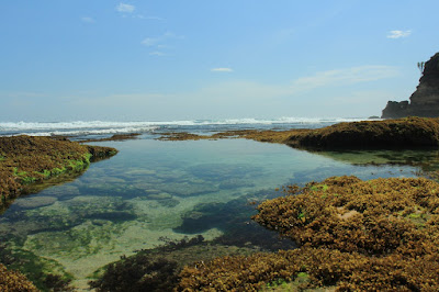 Wisata Pantai Jonggring Saloko Malang