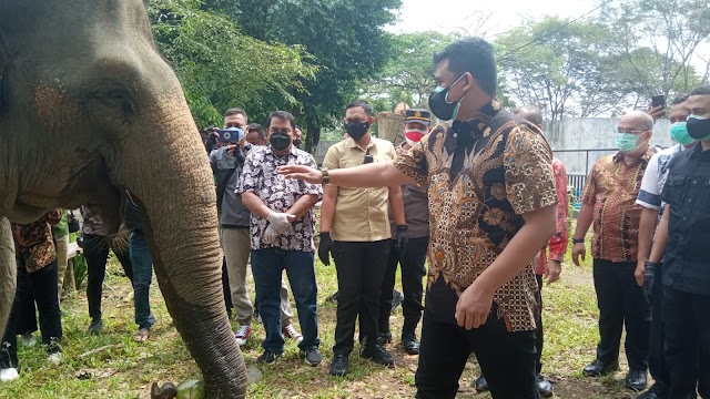  Manajemen Kebun Binatang Medan Harus Mampu Tarik Investor