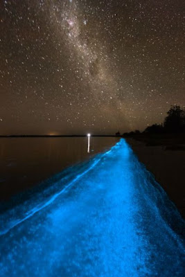 Some Amazing and rare Phenomenon of water glowing