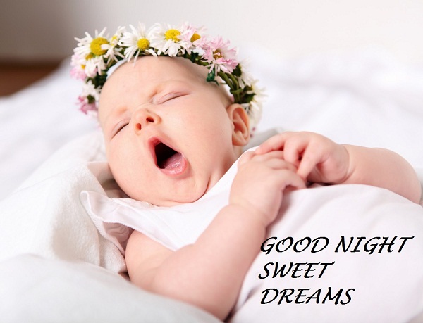 Good Night Sweet Dreams Pics