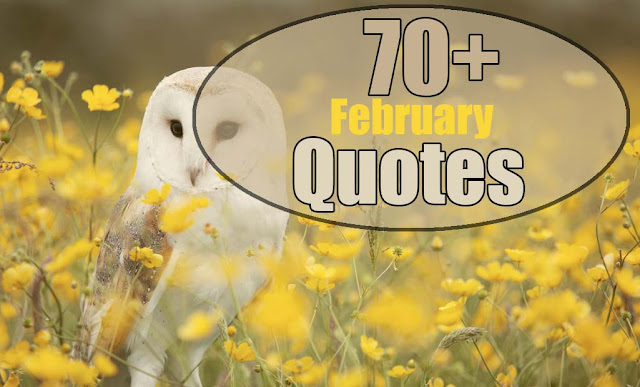 February quotes - quotes about february - quotes for february