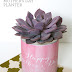 Simple DIY Mother’s Day Planter Gift