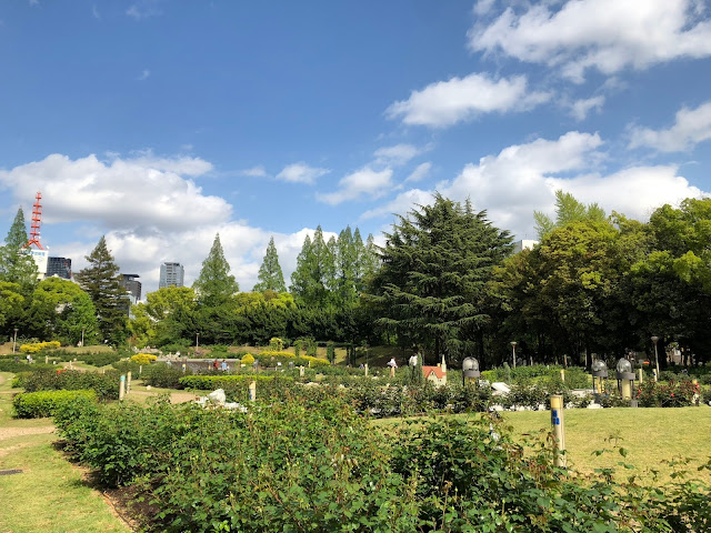 大阪景點, 玫瑰園, 靱公園