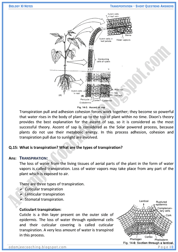 transportation-short-question-answers-biology-11th