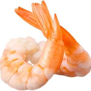 photo of a cooked shrimp