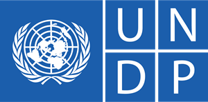 UNDP Internship