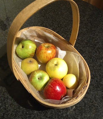 A selection of apples to take home