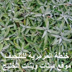 setatwebanat.blogspot.com