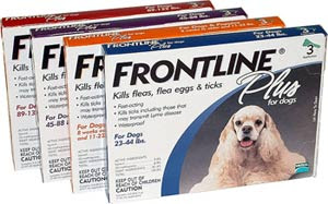 Pet meds - Frontline plus