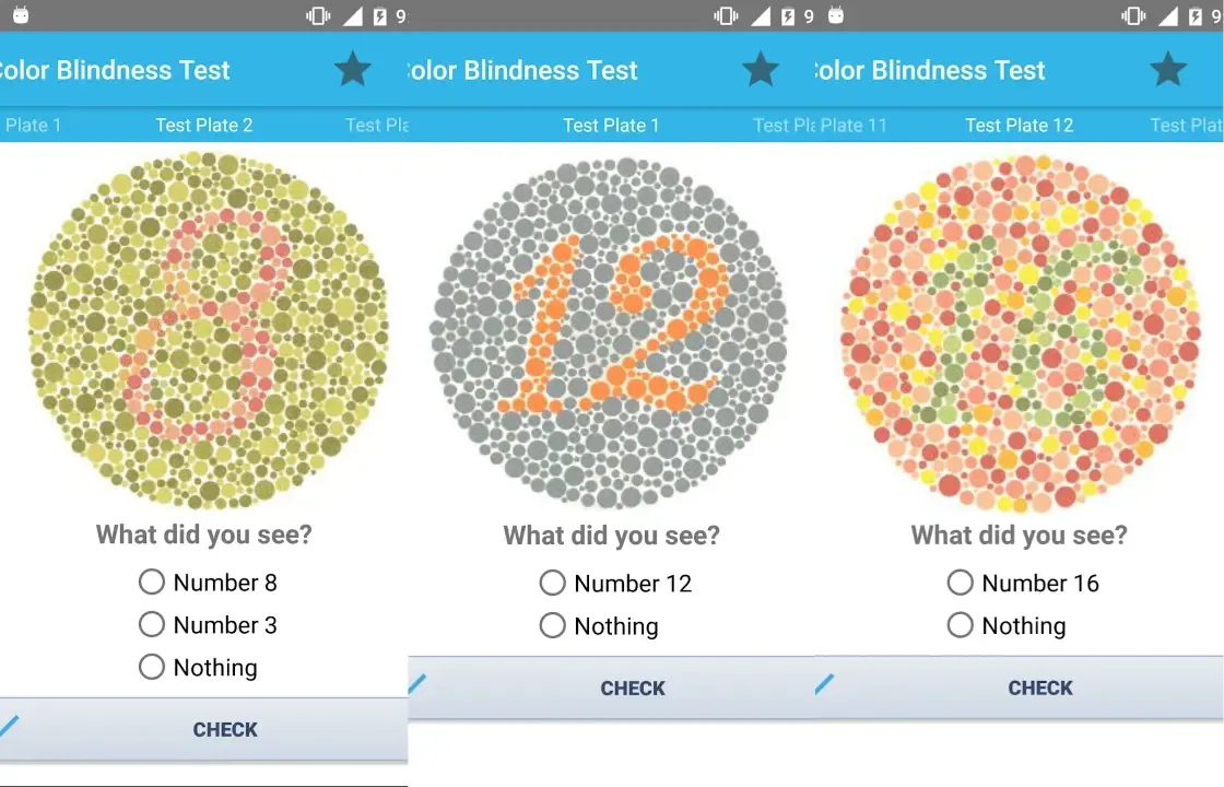 Color Blindness Test