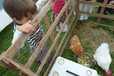 Animals at Findon Sheep Fair