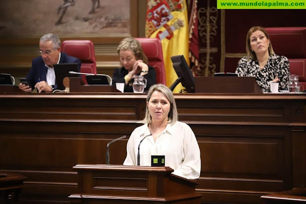 El PSOE exige al Gobierno canario que explique el criterio de reparto de las ayudas ante el descontento generado entre los agricultores del Valle de Aridane