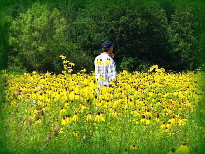 Friday Flowers: Yellow