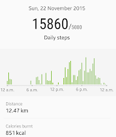 15860 steps in a day covered by Anubhav Yadav