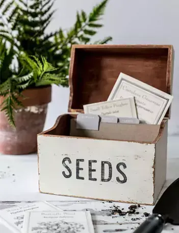 Garden seeds stored in wood box.