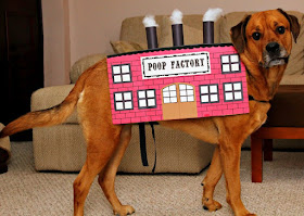 poop factory dog costume - turtlesandtails.blogspot.com