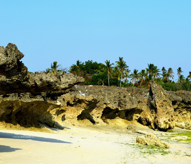 Tebing karang Pantai Lemo-Lemo zoom in